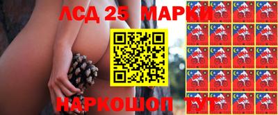 крисы Малгобек