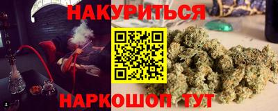 крисы Малгобек