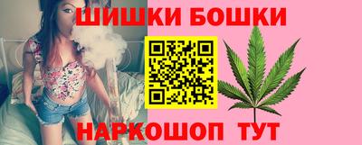 крисы Малгобек